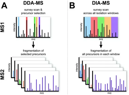 Schematic overview of the DDA-MS and DIA-MS.